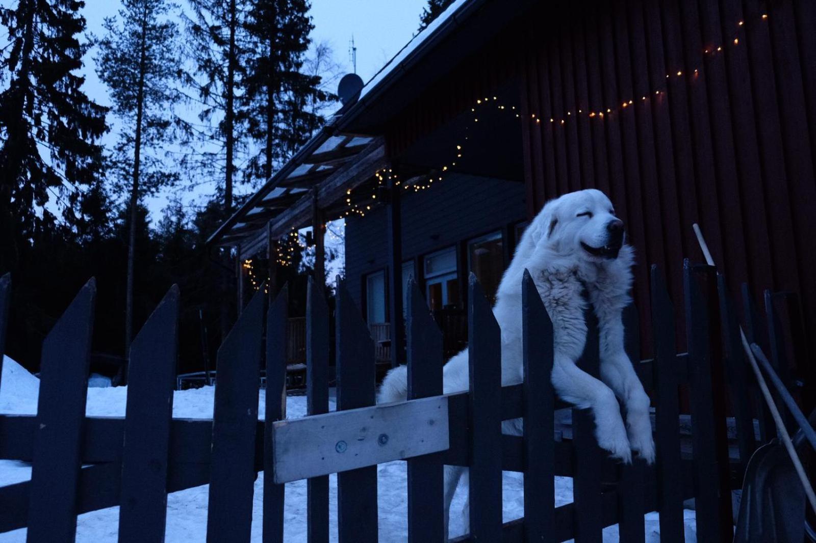 Laplandbike Apartment Arctic Circle Rovaniemi Bagian luar foto